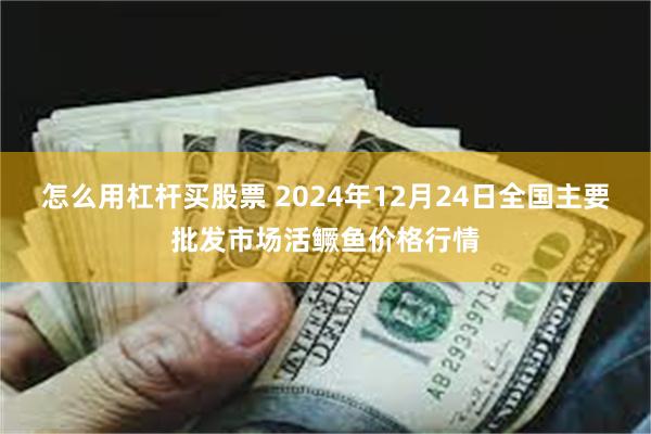 怎么用杠杆买股票 2024年12月24日全国主要批发市场活鳜鱼价格行情