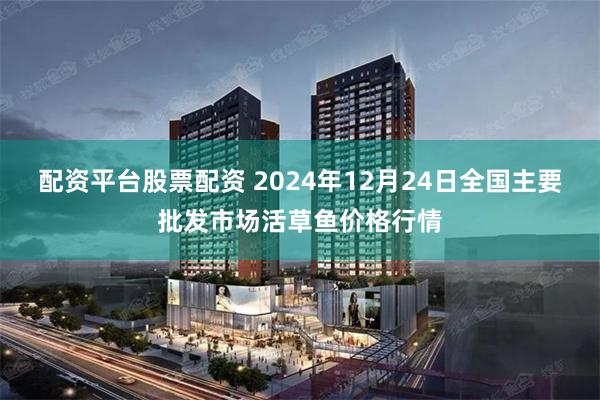 配资平台股票配资 2024年12月24日全国主要批发市场活草鱼价格行情