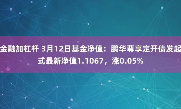 金融加杠杆 3月12日基金净值：鹏华尊享定开债发起式最新净值1.1067，涨0.05%