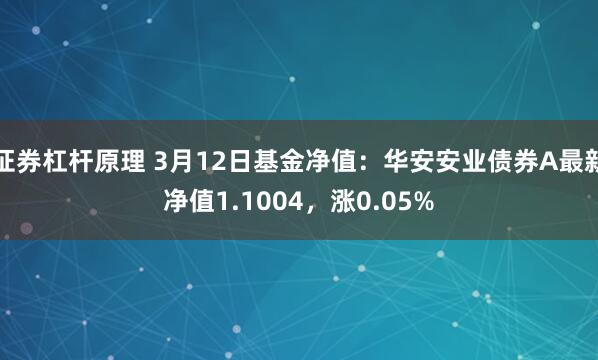 证券杠杆原理 3月12日基金净值：华安安业债券A最新净值1.1004，涨0.05%